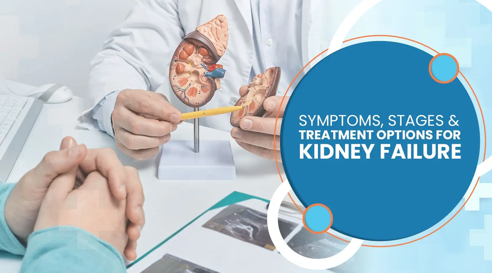 Understanding Kidney Failure: Symptoms, Stages, and Treatment Options